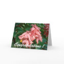 Fiji Pink and Yellow Flower Greeting Card