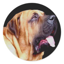 Fila Brasileiro Dog Stickers