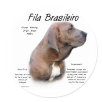 Fila Brasileiro History Design