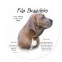 Fila Brasileiro History Design stickers