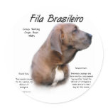 Fila Brasileiro History Design stickers
