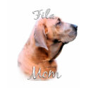 Fila Brasileiro Mum 2 t-shirts