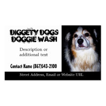 Filthy Dirty Dog Pet Groomer or Washing Business Card