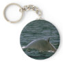 Fin whale key chains