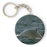 Fin whale keychains
