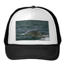 Fin whale mesh hat