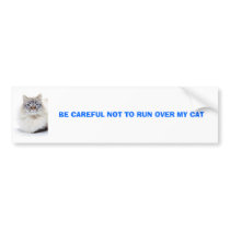 final, BE CAREFUL NOT TO RUN OVER MY CAT Bumper Sticker