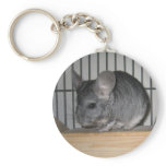Finally Home Chinchillas: Cheeko keychains