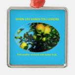 find-another-orchard-with-better-fruit christmas tree ornament