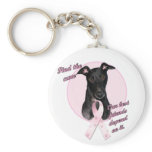 Find the Cure ~ Pink Key Chain