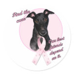 Find the Cure ~ Pink Sticker