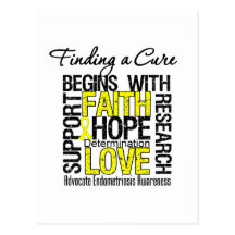 Finding a Cure For Endometriosis Post Card