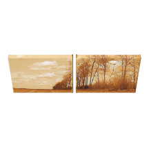 fine art photography stretched canvas prints