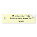 Fine Feathers Bumper Sticker bumper stickers