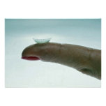 Finger holding a contact lens announcements