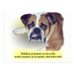 Finnish hangover bulldog post card
