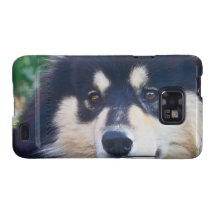 Finnish Lapphund Phone Case Galaxy S2 Cover
