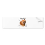 Finnish Spitz History Design bumper stickers