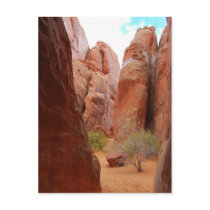 Fins, Arches National Park, Utah, Postcard