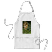 Fir tree fruit (abies species) aprons