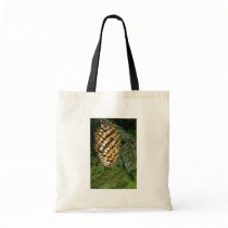 Fir tree fruit (abies species) bags