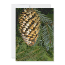 Fir tree fruit (abies species) invitations
