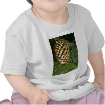 Fir tree fruit (abies species) shirt