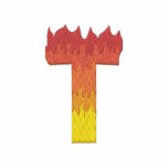 Fire #2 Letter T embroidered shirts