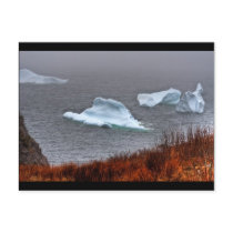 Fire and Ice Post Card