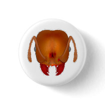 Fire ant button