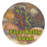 Fire Bellied Toad Sticker