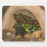 Fire Belly Toads Mouse Pad mousepads