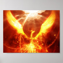 Fire bird posters