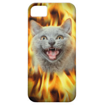 Fire cat iPhone 5 cover