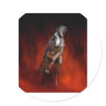 Fire Dancer Stickers
