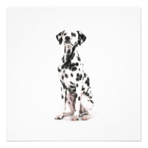 Fire Dog Invitations