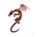 Fire Dragon t-shirts
