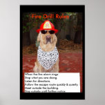Fire Drill posters