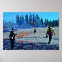 fire expertise posters
