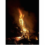Fire flame man shape burning bonfire picture photo sculpture