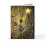 fire fly cards