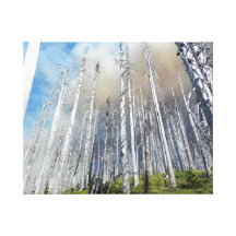 Fire in Distance Canvas Print