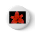 Fire Lily Sacred Star buttons