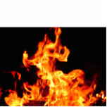FIRE photo sculptures
