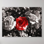 Fire red flower posters