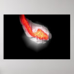 Fire Storm Posters
