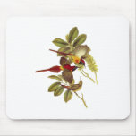 Fire-tailed Sunbird mousepads