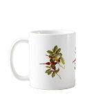 Fire-tailed Sunbird mugs