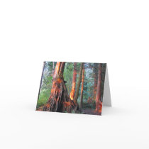 Fire Trees Cards