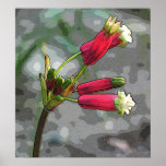 firecracker blooms print